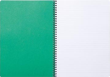 Clairefontaine FOREVER spiraalschrift gerecycleerd A4 90g 120 bladzijden gelijnd groen-2