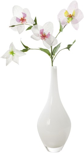 Transparant papier Folia A4 115gr wit-3