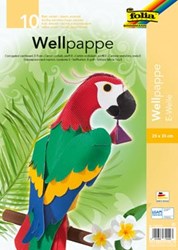 Folia golfkarton 25 x 35 cm 10 geassorteerde kleuren