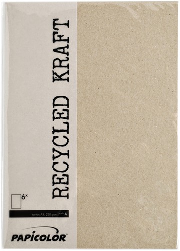 Kopieerpapier A4 200gr 6vel kraft grijs-2