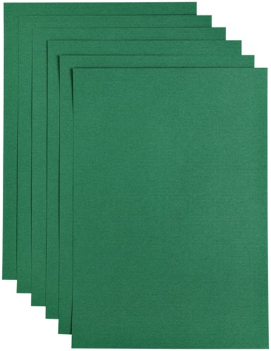 Kopieerpapier A4 100gr 12vel dennengroen