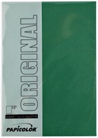 Kopieerpapier A4 200gr 6vel dennengroen-2