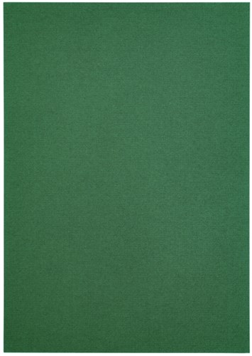 Kopieerpapier A4 100gr 12vel dennengroen-3