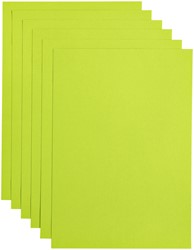 Gekleurd papier A4 appelgroen 100gr 12 vel