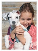 Lamineerhoezen A4 Leitz iLam 2 x 80 micron 100 stuks-1