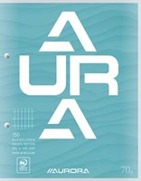 Aurora cursusblok 16,5 x 21 cm 75 vel 2-gaatsperforatie commercieel geruit-2