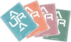 Aurora cursusblok 16,5 x 21 cm 75 vel 2-gaatsperforatie commercieel geruit