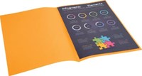 Exacompta dossiermap ROCK''S 80, ft 22 x 31 cm, pak van 100, lichtoranje-1