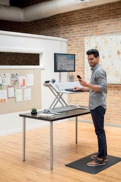 Fellowes Lotus DX zit-sta werkplatform wit-2