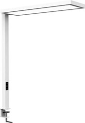 MAULsenja vloerlamp, LED, wit