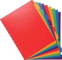Exacompta uitneembare tabbladen voor showalbum met ringen in gekleurd Pp 10 tabs-3