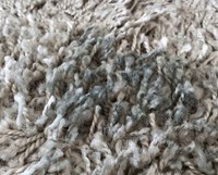 Vloerreiniger HG voor tapijtvloeren 500ml-3