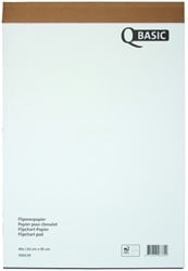 Flip over papier 65x 95cm 40 vel blanco en geruit