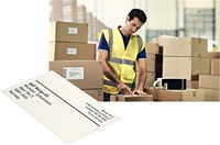 Leitz Icon labels grote adreslabels 59 x 102 mm 225 labels-3