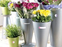 Avery Family gelamineerde etiketten etui met 24 etiketten geassorteerde formaten en fluo kleuren-1