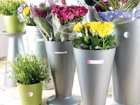 Avery Family gelamineerde etiketten etui met 24 etiketten geassorteerde formaten en fluo kleuren-2