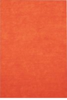 Bouhon viltpapier A4 pak van 10 vellen oranje