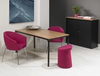 Kantoortafel 80x60cm ProLine Basic-2