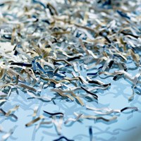 Dahle 51322 papiervernietiger snippers