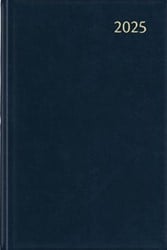 Dagagenda 2025 Aurora Daily FA211 Balacron geassorteerde kleuren