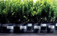 Avery Weerbestendige etiketten ft 63,5 x 33,9 mm, 24 etiketten per blad, 240 etiketten per doos, 10 ve...-2