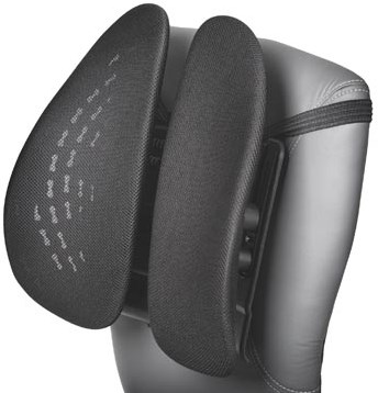 Rugsteun Kensington SmartFit zwart-2