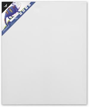 Kangaro bespannen spieraam 3D 50 x 60 cm set van 2 stuks