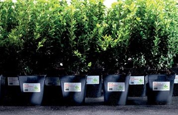 AVERY weerbestendige etiketten 45,7 x 21,2 mm 960 stuks 48 per blad-3