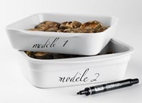 Permanent marker Pentel N50 zwart-2