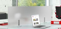 Privacy paneel glas