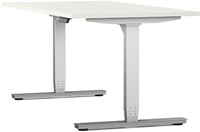 Sta-zit-bureau-elektrisch