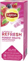 Lipton thee Refresh Bosvruchten 25stuks