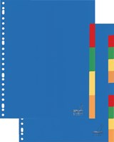 Tabbladen 5 delig 23 gaats A4 assorti PP-2