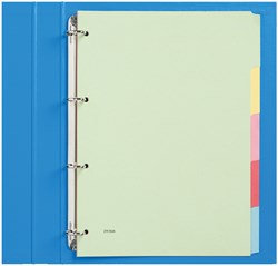 Tabbladen Budget 4-gaats karton 5-delig assorti karton