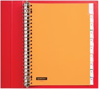 Tabbladen 23-gaats 10-delig met venster assorti PP