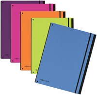 Sorteermap Pagna Trend 12 tabs A4 lila-2