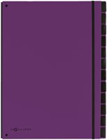 Sorteermap Pagna Trend 12 tabs A4 lila