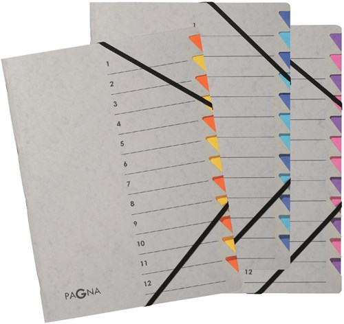 Sorteermap Pagna Easy 12 tabs A4 grijs-2