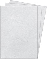 Schutblad Fellowes A4 250 micron pak van 100 stuks wit-3