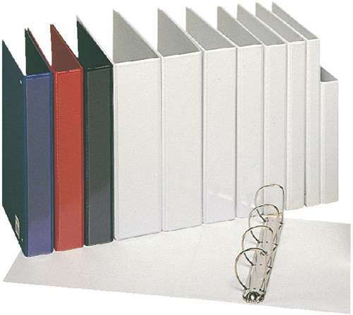 Esselte presentatie ringmap 4D-ringen van 25 mm in het blauw-2