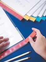 Insteekmap L-model Leitz 4080300 A4 gekleurde rand-2