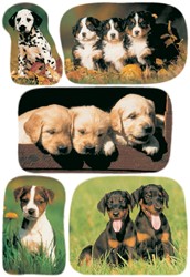 Honden stickers stickervel