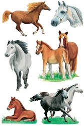 Paarden stickers stickervel