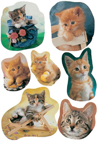 Stickervel katten