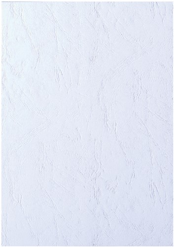 Schutblad Fellowes A4 250 micron pak van 100 stuks wit-2