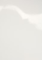 Voorblad Fellowes A4 Chromolux 250gr wit 100stuks-2