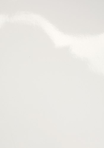 Schutblad Fellowes A4 300 micron pak van 100 stuks-2