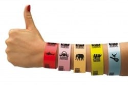 Zebra polsbandjes
