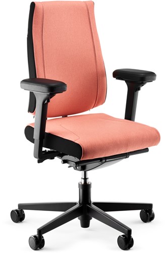 Sedus Black Dot+ ID ergonomische bureaustoel rugklachten-2