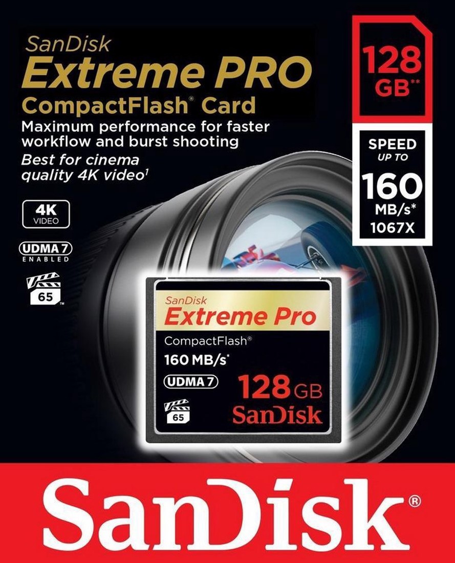 純正新品 サンディスク SanDisk Extreme CFカード　256GB PRO その他